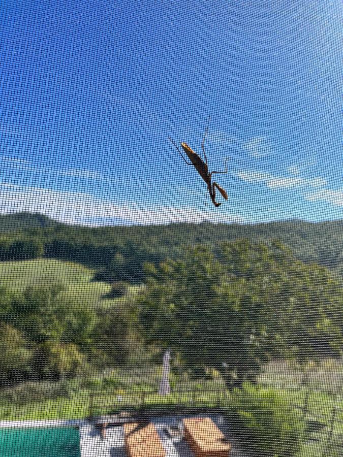 Podere Il Sasso バルベリーノ・ディ・ムジェッロ エクステリア 写真