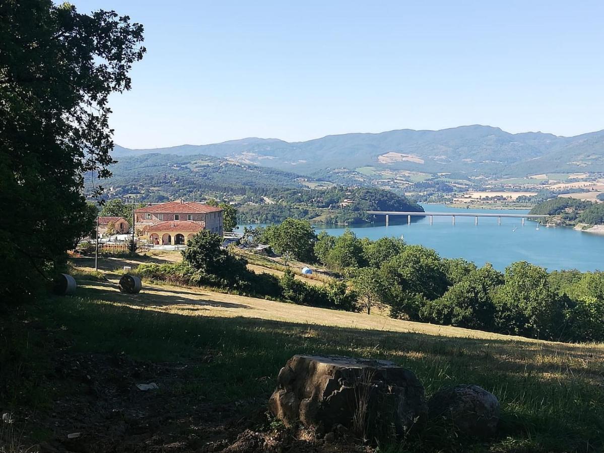 Podere Il Sasso バルベリーノ・ディ・ムジェッロ エクステリア 写真