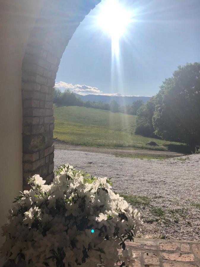 Podere Il Sasso バルベリーノ・ディ・ムジェッロ エクステリア 写真