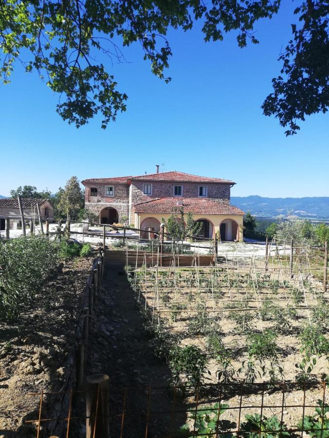 Podere Il Sasso バルベリーノ・ディ・ムジェッロ エクステリア 写真