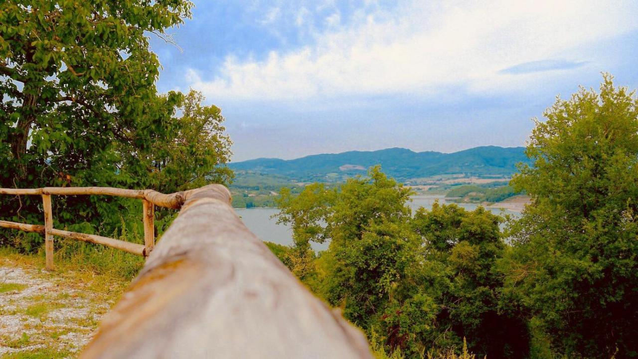 Podere Il Sasso バルベリーノ・ディ・ムジェッロ エクステリア 写真
